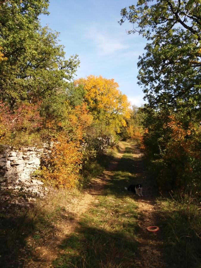 Les Trois Prunelles Saint-Pierre-Toirac Экстерьер фото